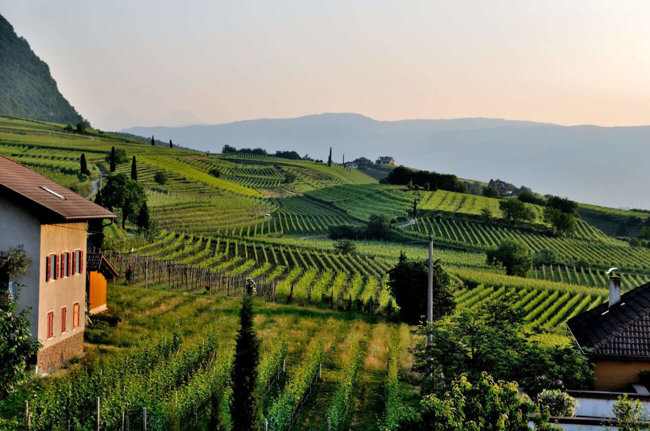Transactions agricoles - Victicoles